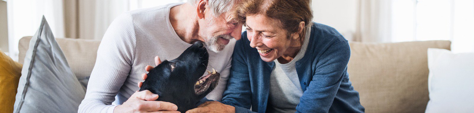 Older couple on couch patting dog