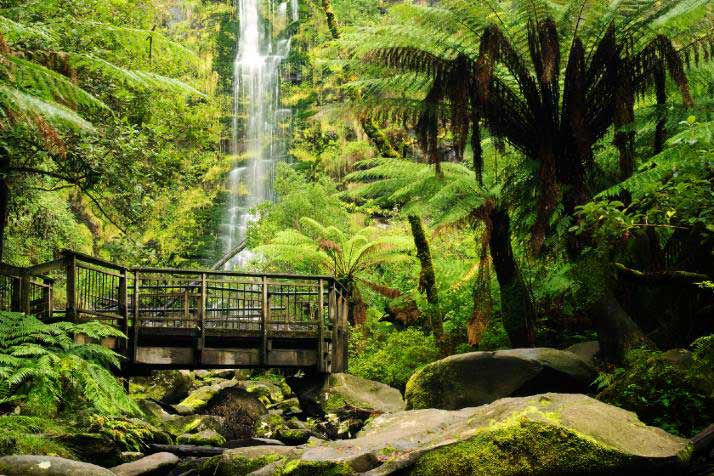 Mckenzie waterfall from VIC