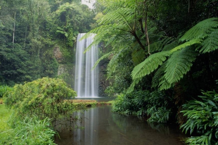 Milla Milla waterfall from QLD