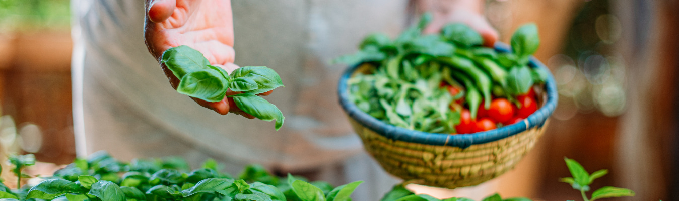 Mediterannean Herbs in the basket