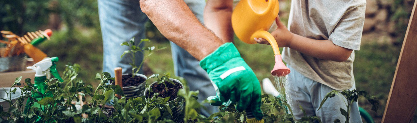 Grandfather and Grandson Gardening