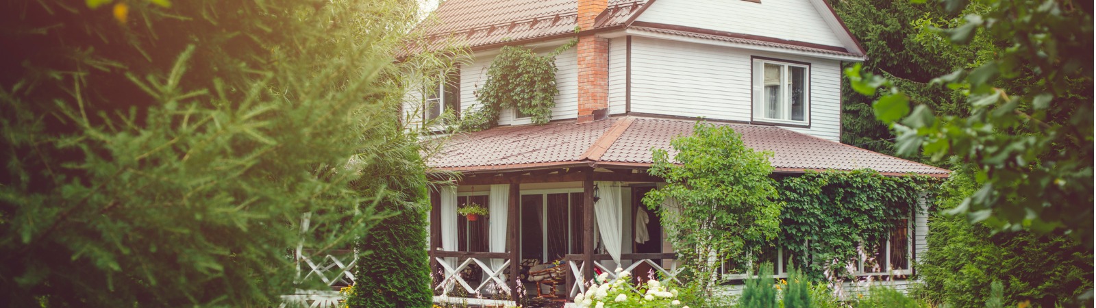 country house surrounded by trees