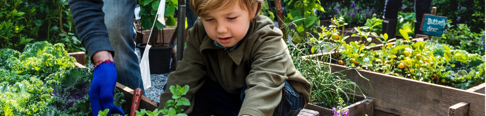 Child gardening