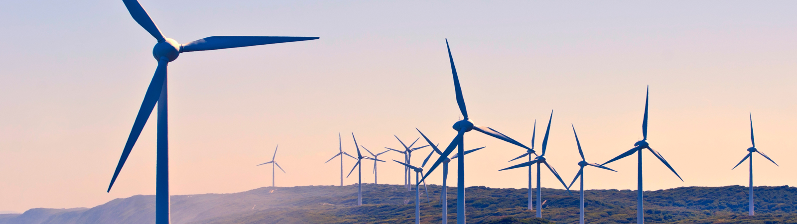 Landscape view of wind farm in a field